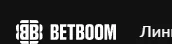 betboom IT logo
